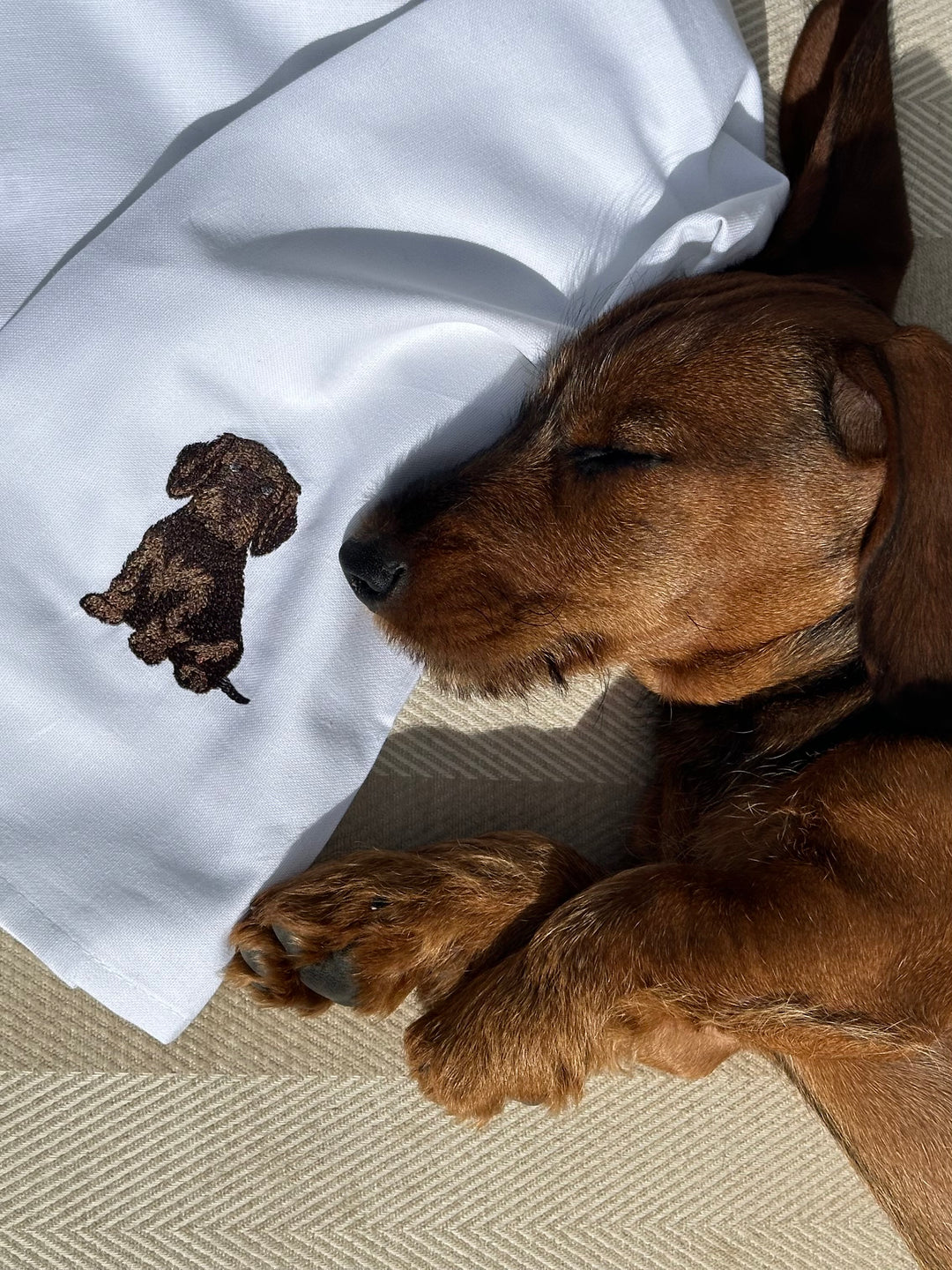 The Dachsy Tea Towel