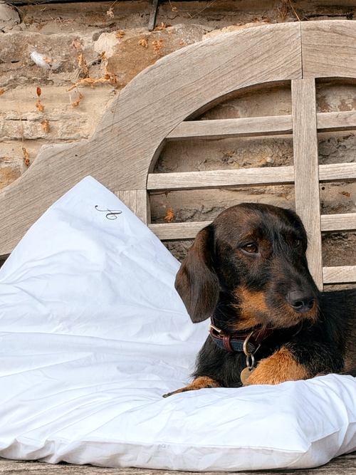The Classic Pillowcase Set