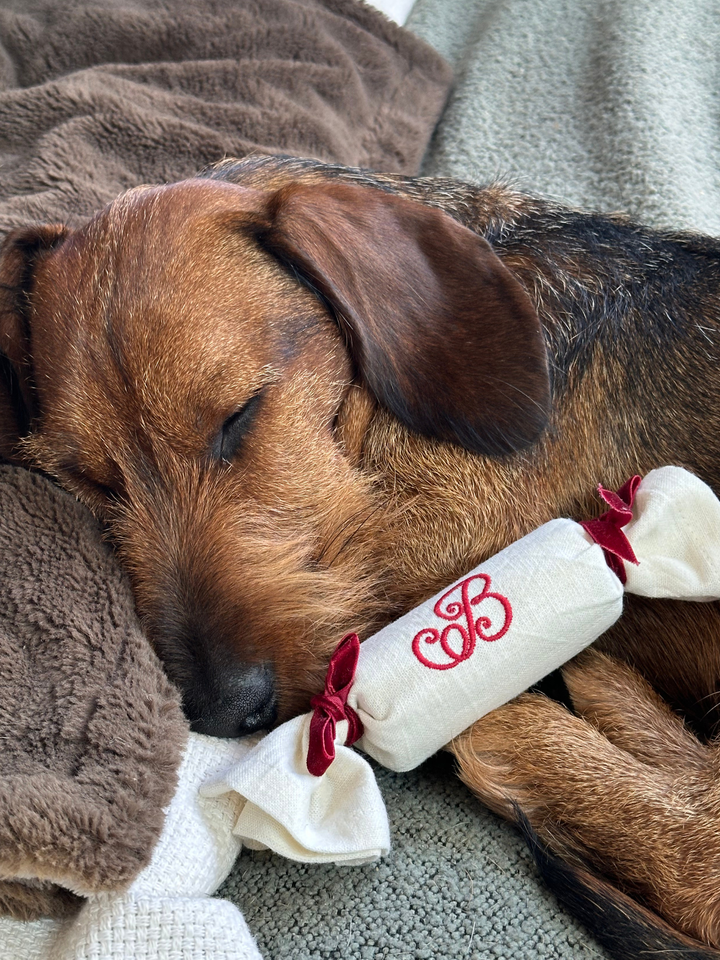 The Mini Cracker Set